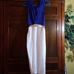 Venus Blue and White fitted dress